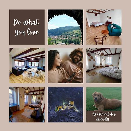Gite Chez Lulu Proche Du Chateau De Schirmeck Apartment Екстериор снимка